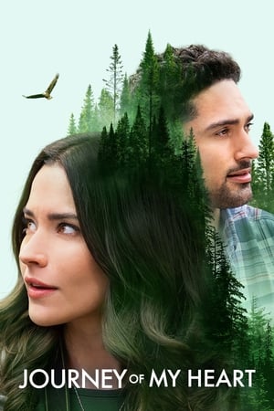 Kalbimin Yolculuğu İzle Türkçe | Journey of My Heart