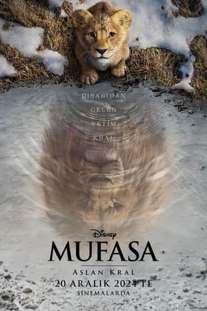 Mufasa: Aslan Kral İzle Türkçe Dublaj | FULL HD