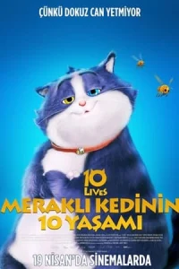 Meraklı Kedinin 10 Yaşamı 2024 – 10 Lives izle